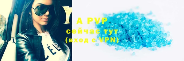 каннабис Инта