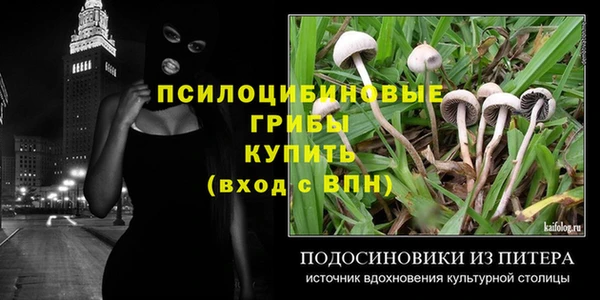 наркотики Инсар