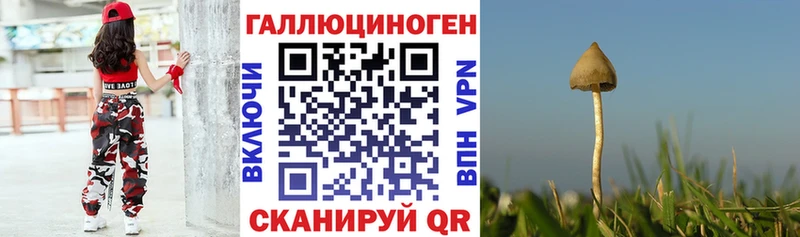 Галлюциногенные грибы Cubensis Новый Уренгой